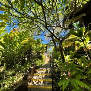 Meet your Posher, Drea